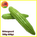 Bitter Gourd 苦瓜 500g-600g