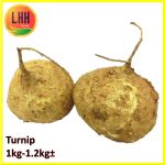 Turnip 芒光 1kg-1.2kg