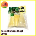 Bamboo Shoot Peeled 竹笋肉 250g
