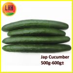 Japanese Cucumber 日本黄瓜 500g-600g
