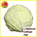C.Highland Cabbage 金马伦包菜 1kg