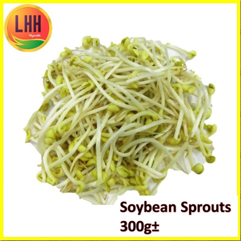 Soybean Sprout 大豆芽 300g LHH Group