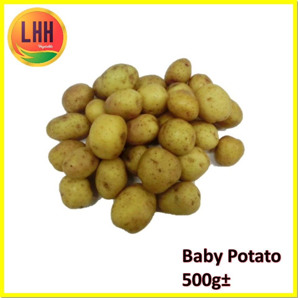 Baby Potato 马铃薯仔 500g± – LHH Group