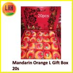 Yong Chun Lukan Gift Box 永春芦柑 礼盒